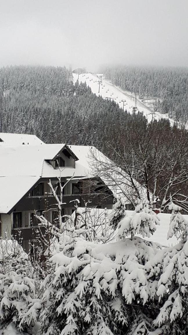 Ferienwohnung Steffens Hahnenklee Wohnung 25 Γκόσλαρ Εξωτερικό φωτογραφία