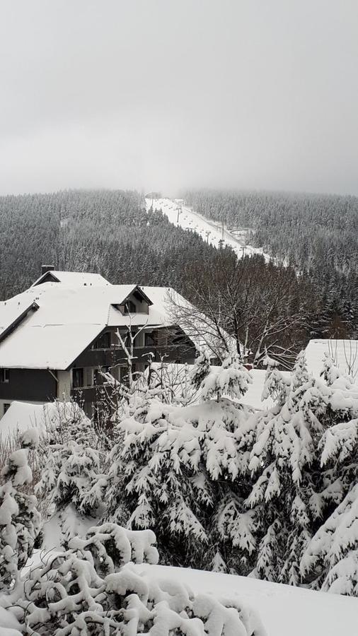 Ferienwohnung Steffens Hahnenklee Wohnung 25 Γκόσλαρ Εξωτερικό φωτογραφία