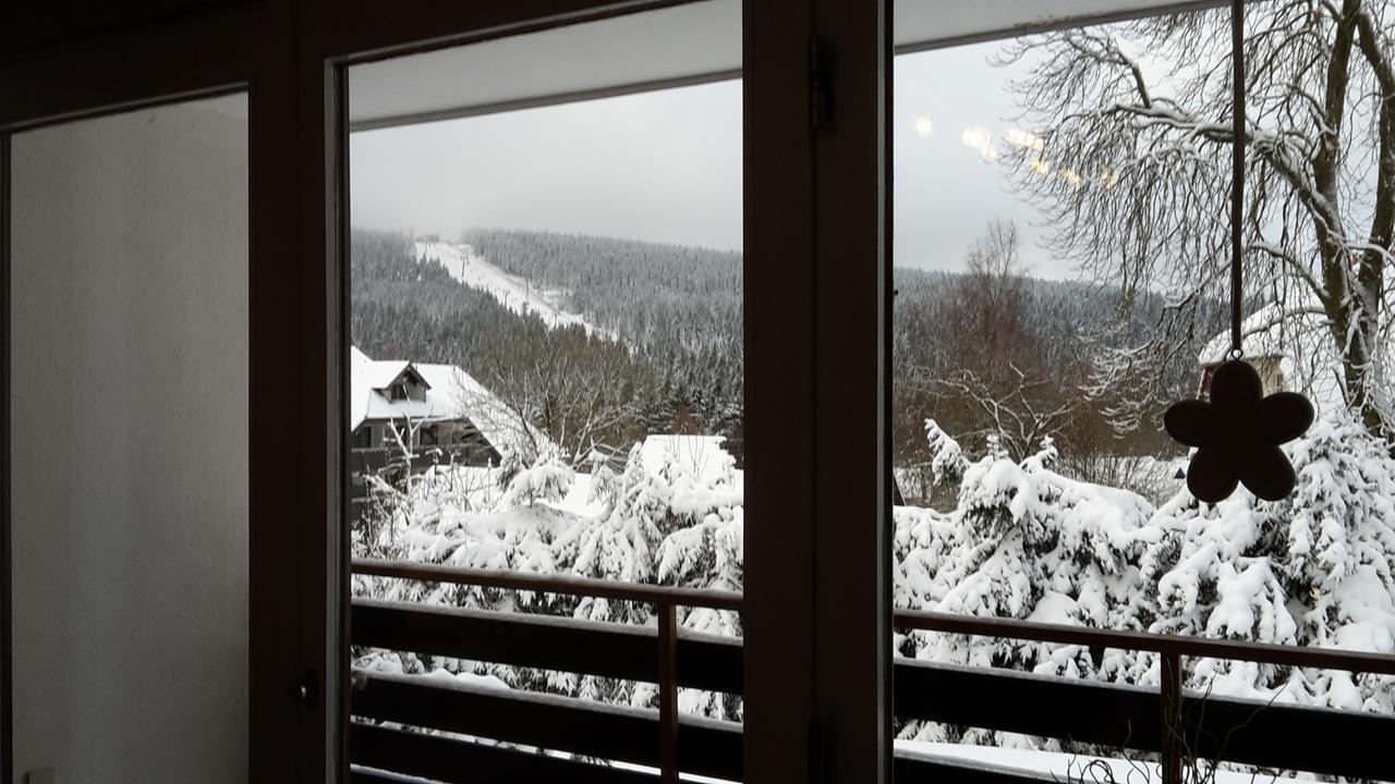 Ferienwohnung Steffens Hahnenklee Wohnung 25 Γκόσλαρ Εξωτερικό φωτογραφία